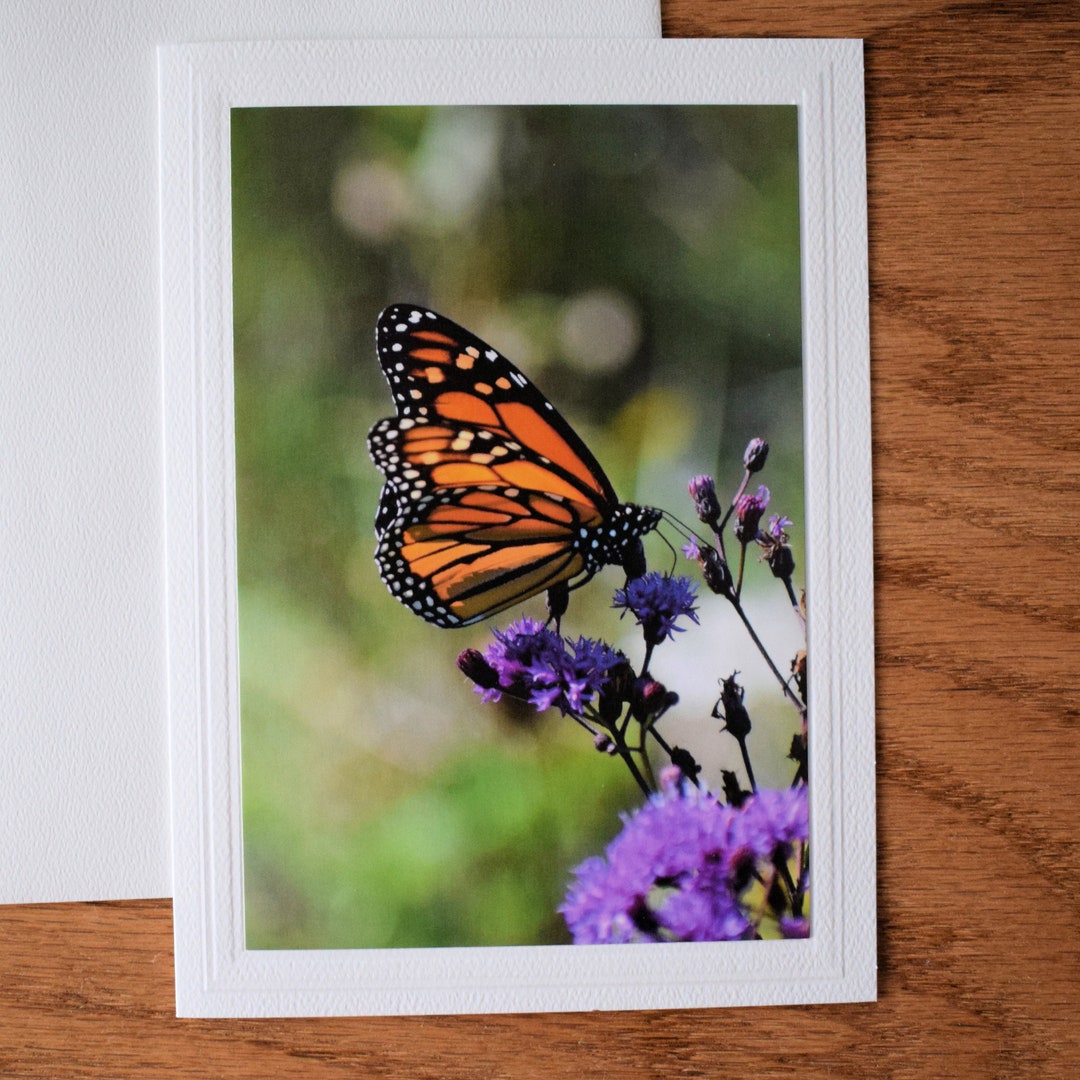 Monarch Butterfly Note Card: 5x7 Blank All Occasion Greeting - Etsy