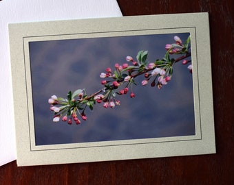 Spring Blossom Photo Note Card: 5x7 Sage Green All Occasion Card