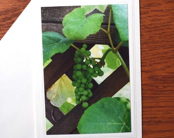 Green Grapes Photo Note Card: 5x7 All Occasion Greeting