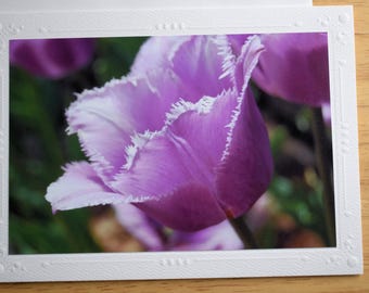 Fringed Tulip Note Card: Spring, Easter, Blank All Occasion Note