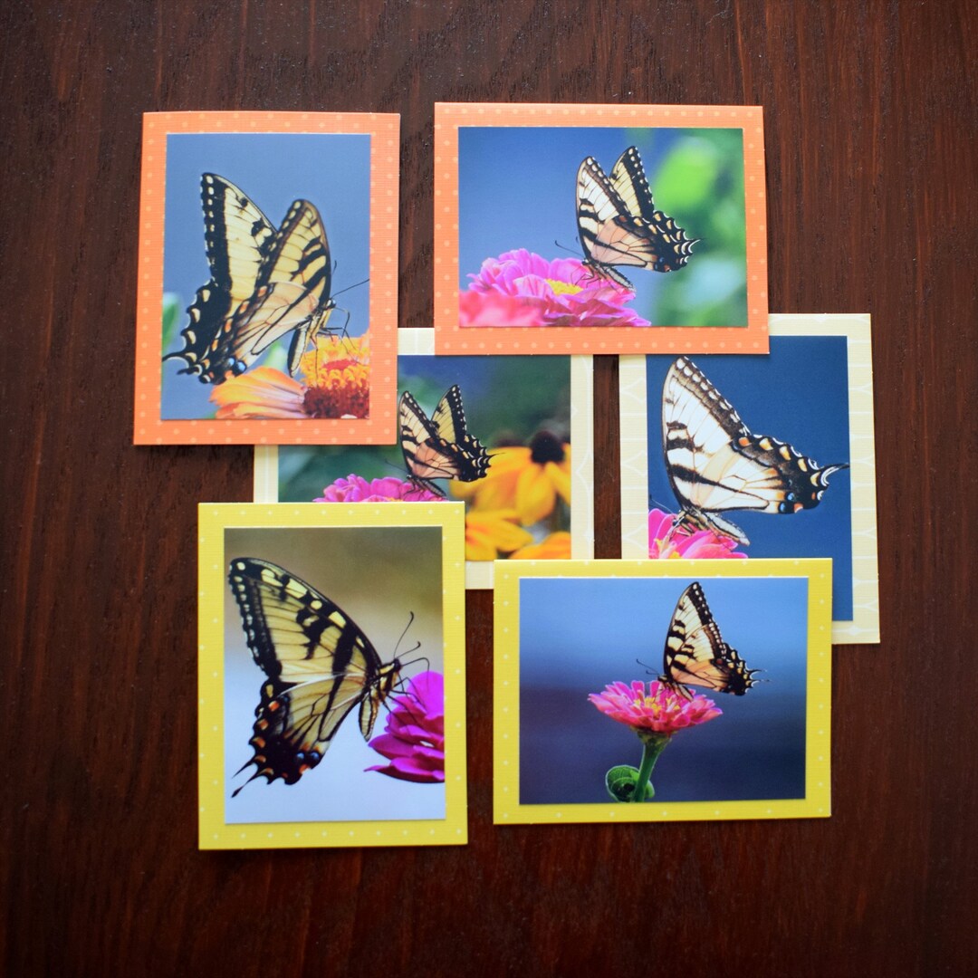 Boxed Note Card Set; Swallowtail Butterfly Note Cards; Set of 6 All ...