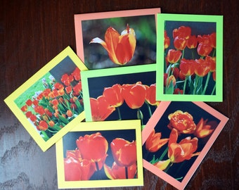 Spring Tulip Note Cards: Handmade Photo Cards, Set of 6