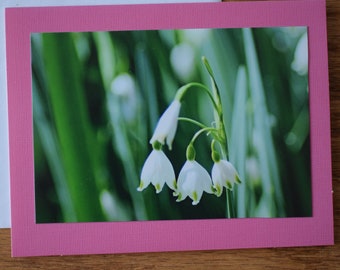 Lily of the Valley Note Card: Blank Floral Friendship Card (4x5.5)