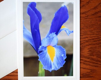 Purple Iris Note Card: 5x7 Embossed All Occasion Blank Card