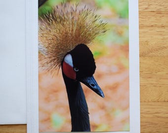 Black Crowned Crane Note Card: 5x7 Handmade Photo, All Occasion Blank Card