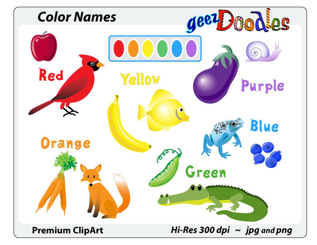 Teacher Clip Art, School Clipart, Color Name Matching With Animals