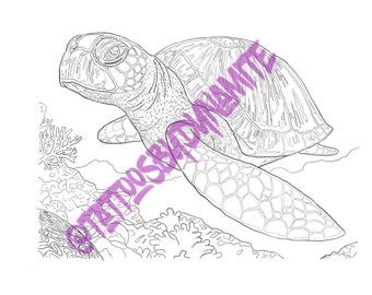 Sea Turtle Coloring Page