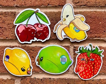 Fruit Bird Sticker Mystery Pack (Series 2) | Waterproof Vinyl Blind Box Decal
