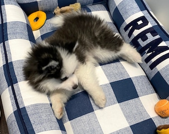 pineapple dog bed modern family