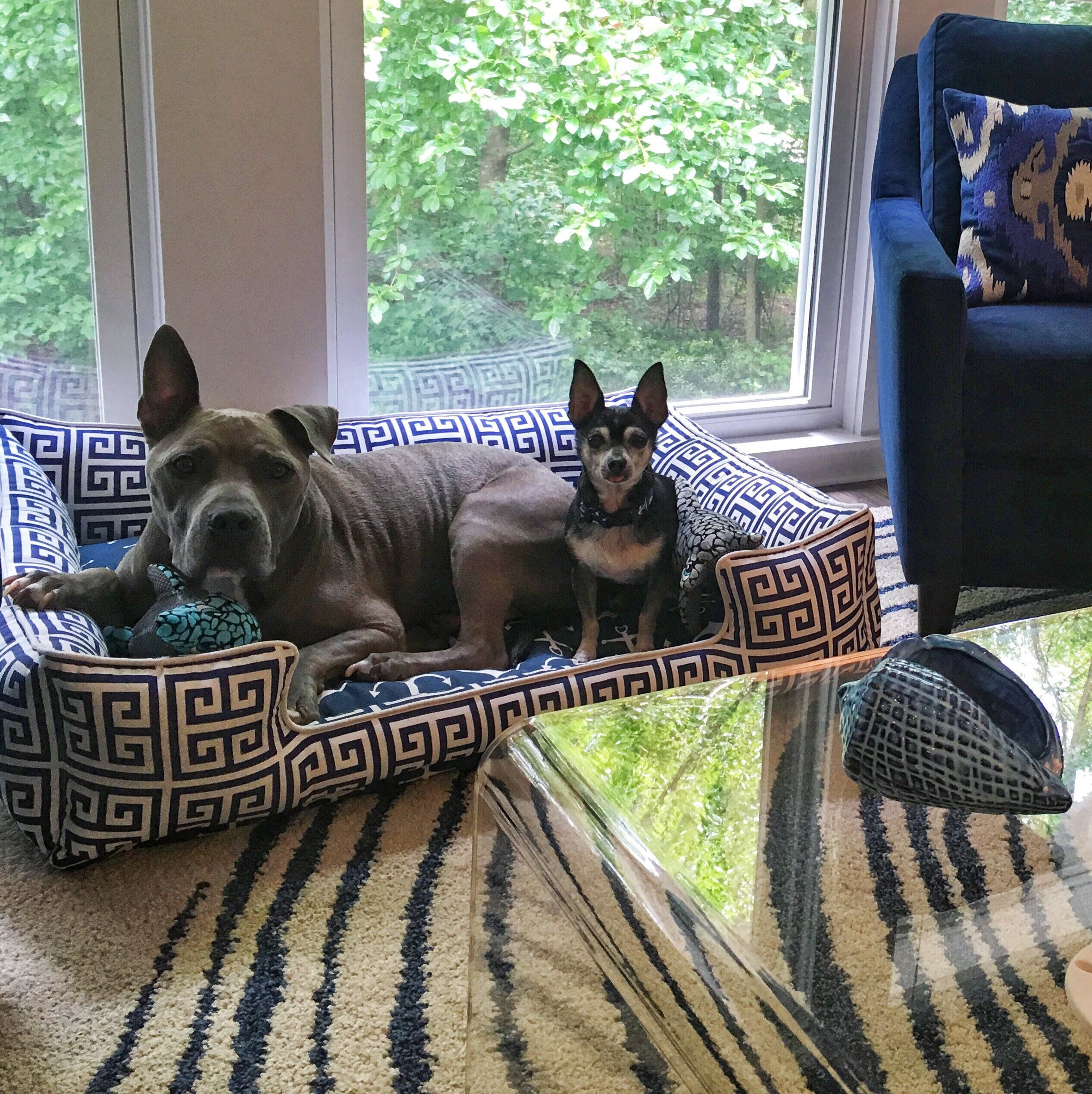 Beach Dog Beds Pet Bed Custom Dog Beds Personalized Dog - Etsy