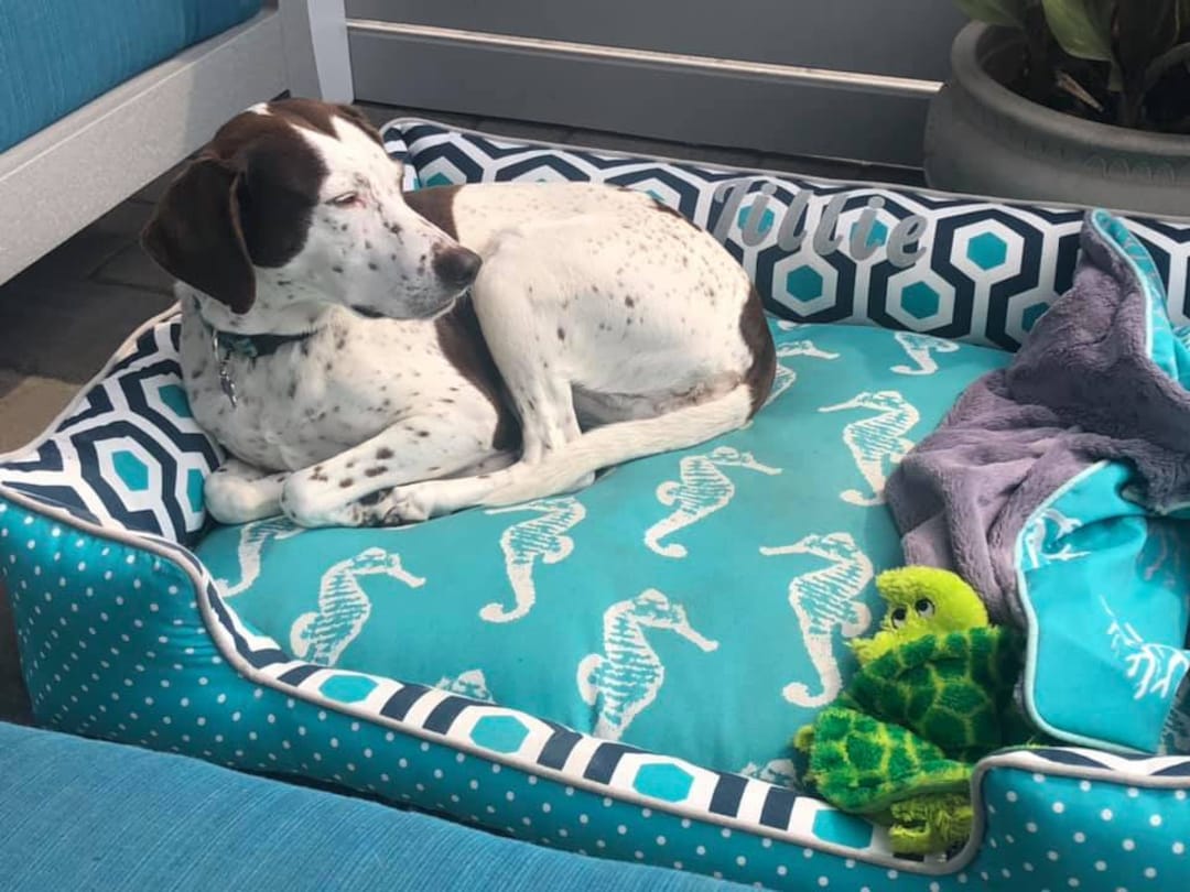 Dog Bed Choose Your Fabric Combination Dog Bed Large Custom Dog Bed