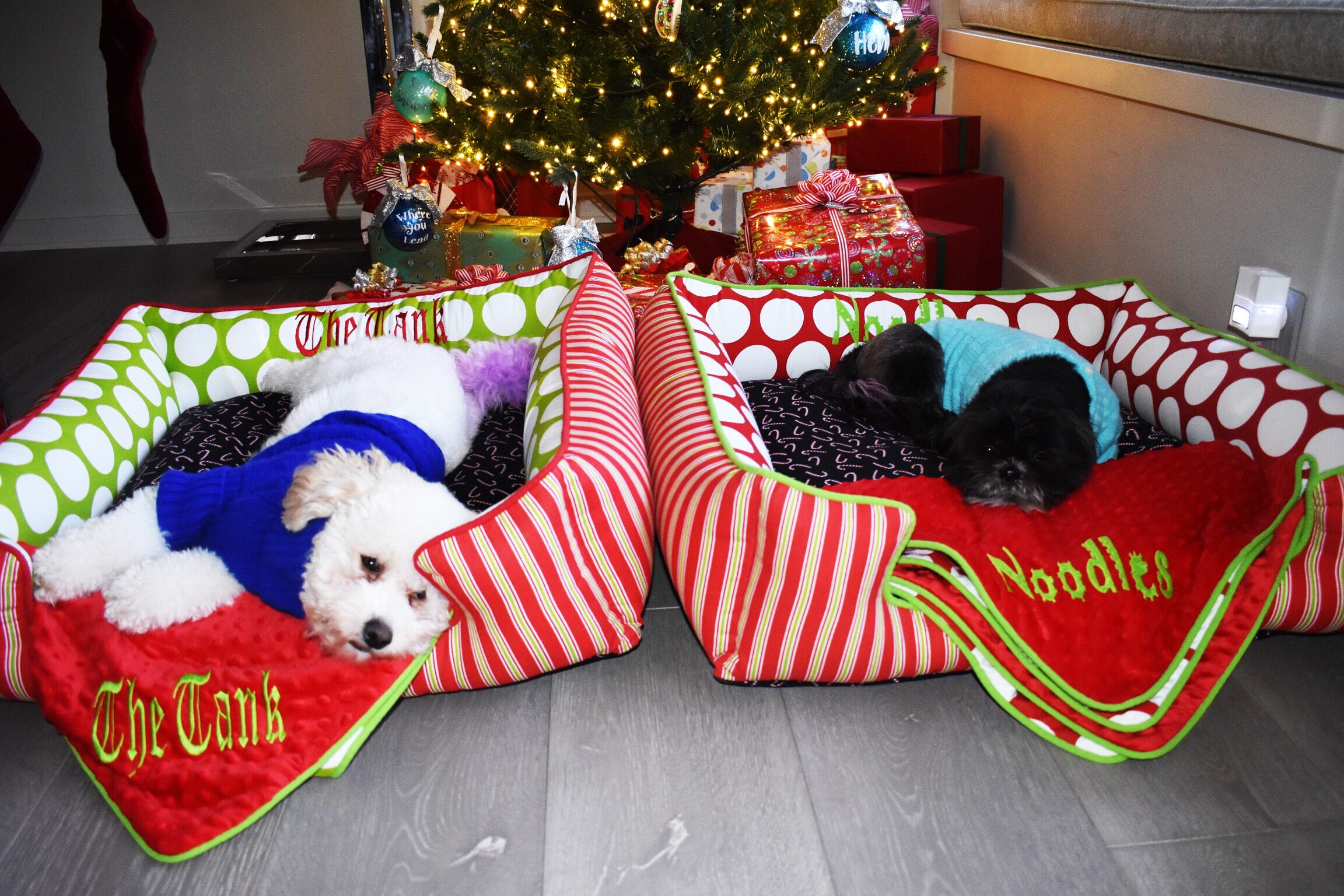 Red Plaid Dog Blanket Personalized Pet Blanket Etsy