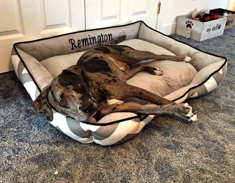 XLarge Dog Bed Choose your fabric combination Dog Bed Etsy