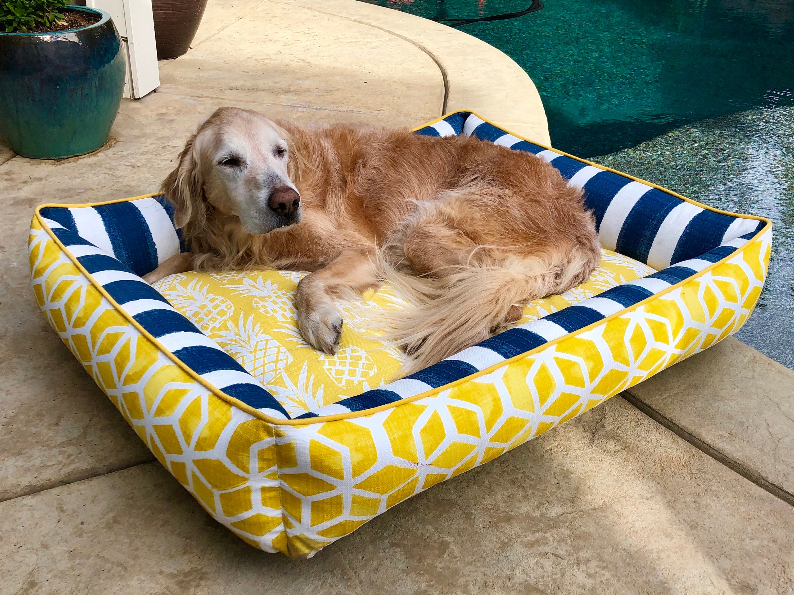 Yellow and Navy Outdoor Dog Bed Full Bolster Dog Bed Navy Dog Bed