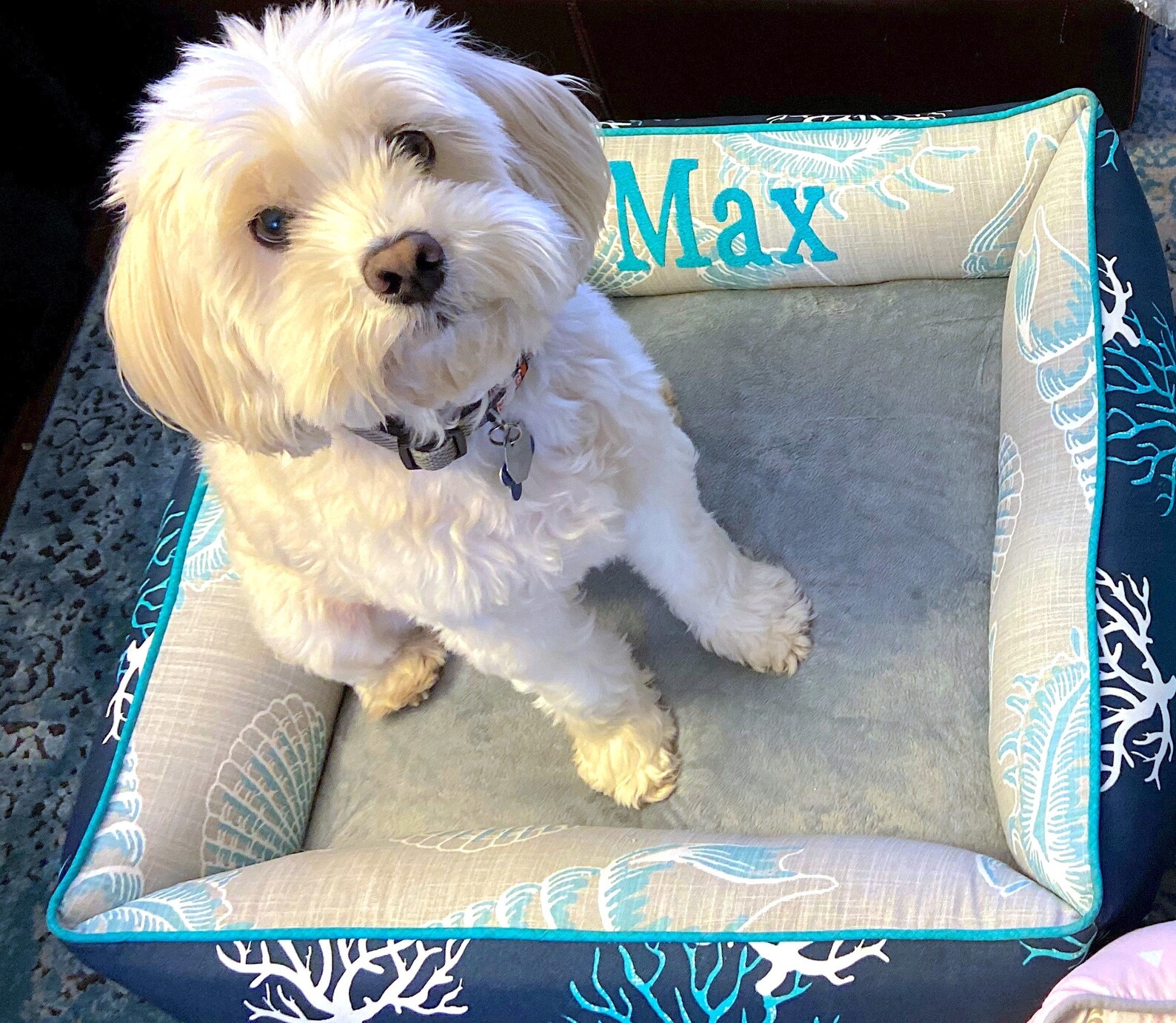 Navy and Grey Minky Coastal Pet Bed Beach House Dog Bed - Etsy