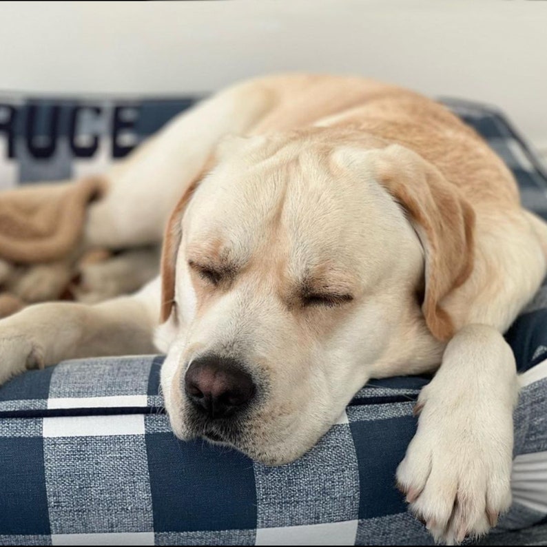 Navy Farmhouse Dog Bed Plaid Dog Bed Linen Dog Bed Navy Pet Bed Modern Farm House Decor Blue Plaid Dog Bed Personalized Dog Bed image 10