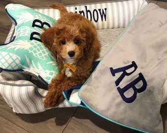 May include: A small, red, fluffy dog with a yellow tag is lying in a white and blue striped dog bed with a green and white pineapple pillow and a gray and blue blanket with the letters "RB" embroidered on it. The bed has the word "rainbow" embroidered on it.