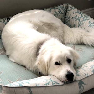 May include: A white dog with a fluffy tail is lying on a light blue and white dog bed with a seahorse and starfish pattern.