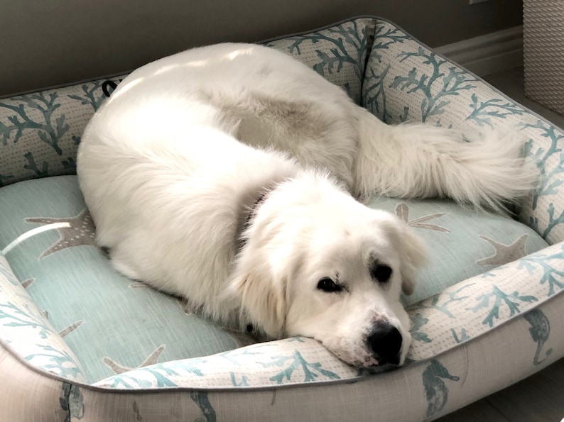 Soft Blue Coastal Pet Bed Beach House Neutrals Dog Bed Beach - Etsy