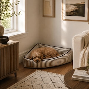 May include: A triangular pet bed featuring a cream and dark blue vertical striped pattern with dark brown piping along the edges. A golden-brown curly-haired dog is curled up and sleeping inside the bed, which is positioned in a corner.