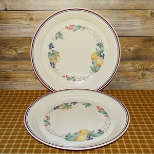 Vintage Corning Corelle Set of 2 ABUNDANCE Dinner Plate Dish 10.25” Made in USA