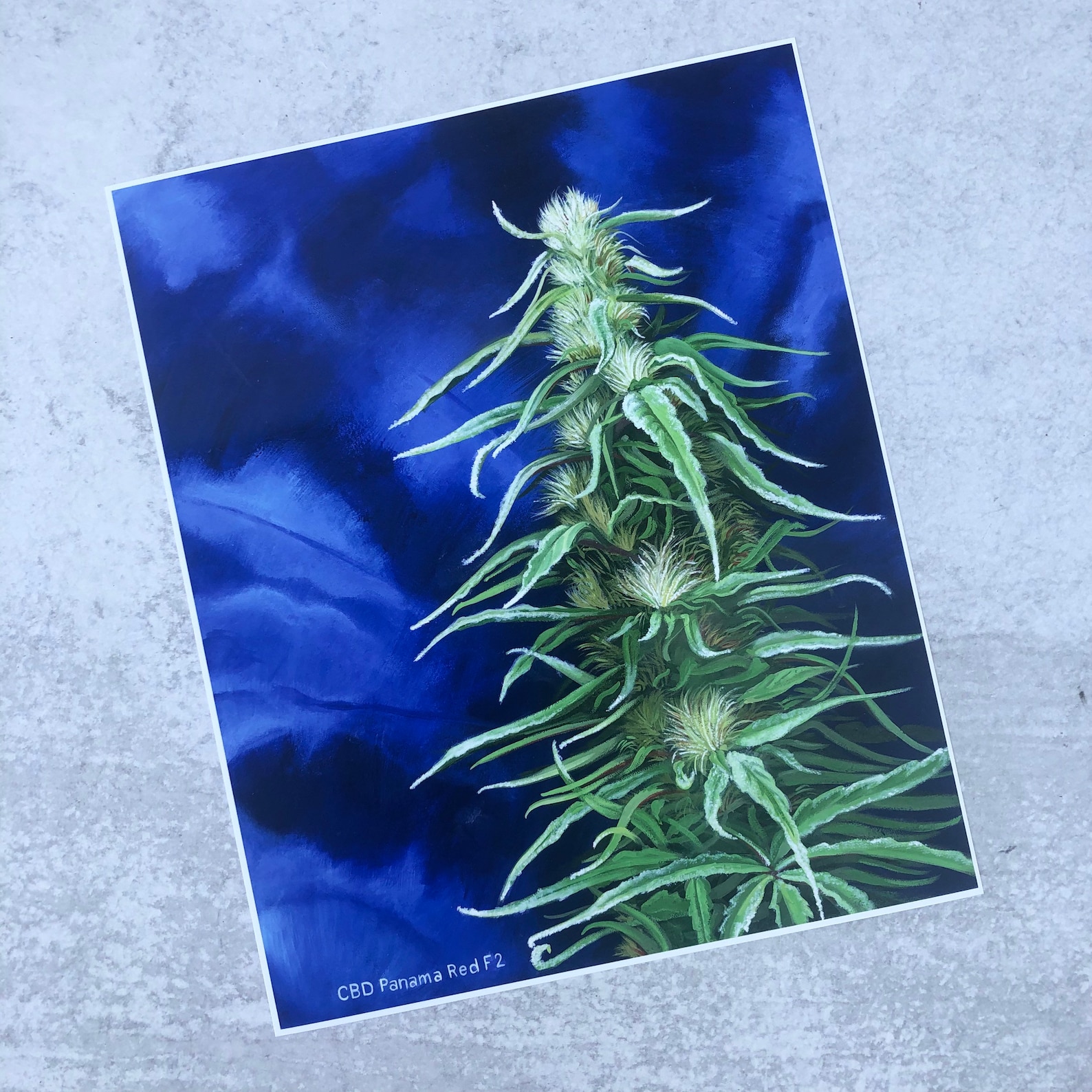 Easy 420 Paintings - 0mxvnm6