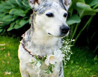 Wedding dog crown, dog wreath, dog flower crown, dog flower collar, puppy flower crown, puppy flower collar, flower crown