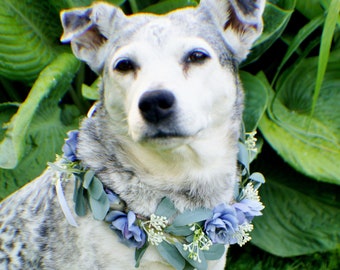 Wedding dog crown, dog wreath, dog flower crown, dog flower collar, puppy flower crown, puppy flower collar, flower crown