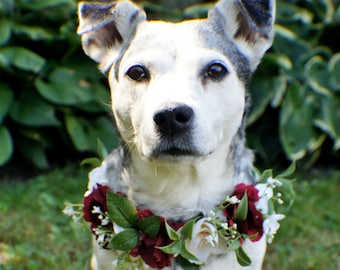 Wedding dog crown, dog wreath, dog flower crown, dog flower collar, puppy flower crown, puppy flower collar, flower crown