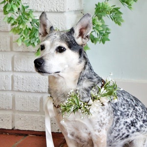 Wedding dog crown, dog wreath, dog flower crown, dog flower collar, puppy flower crown, puppy flower collar, flower crown image 1