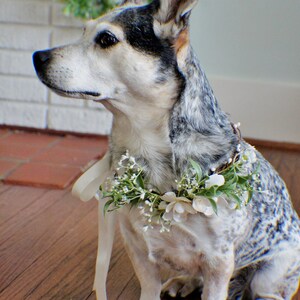 Wedding dog crown, dog wreath, dog flower crown, dog flower collar, puppy flower crown, puppy flower collar, flower crown image 4