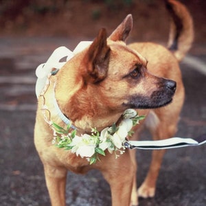 Hundekrone, Hundekranz, Hundeblütenkrone, Hundeblumenhalsband, Welpe Blumenkrone, Welpe Blumenhalsband, Blumenkrone