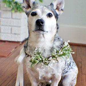 Wedding dog crown, dog wreath, dog flower crown, dog flower collar, puppy flower crown, puppy flower collar, flower crown image 2