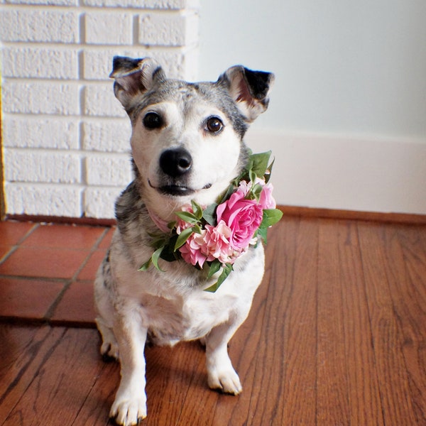 Wedding dog crown, dog wreath, dog flower crown, dog flower collar, puppy flower crown, puppy flower collar, flower crown