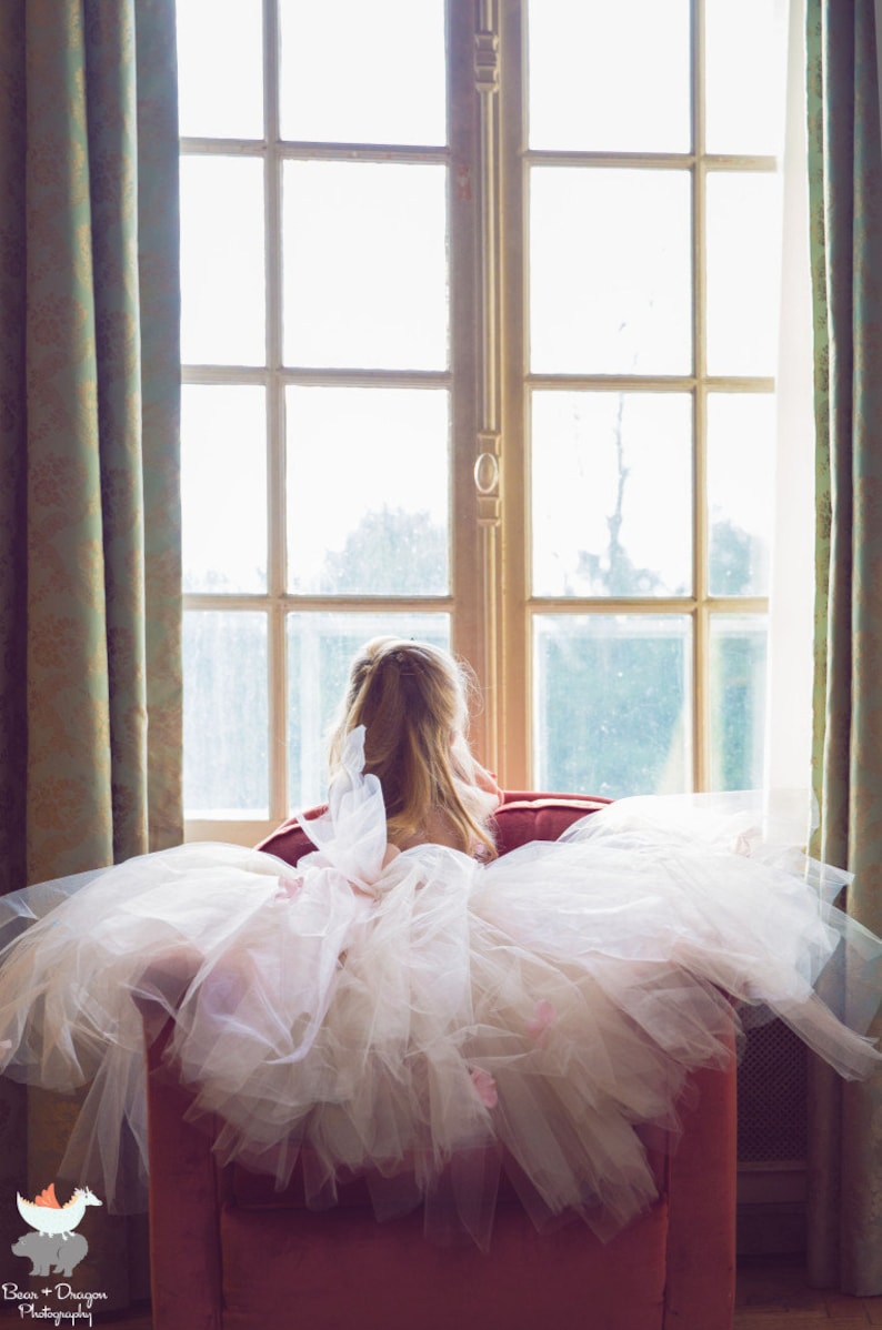 Pink Champagne tutu dress hydrangea top toddler tutu dress Cascading flowers flower top Flower girl dress Pink Champagne Dress