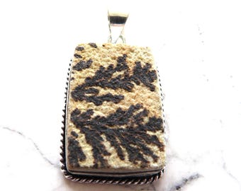 Fossil Coral 925 Silver Pendant – Rectangular Gemstone, Free Necklace