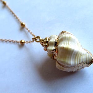 Collier pendentif en coquillage tun : arêtes peintes en or, chaîne boule en or de 61 cm (24 po.)