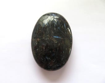 Pierre de palmier Astrophyllite