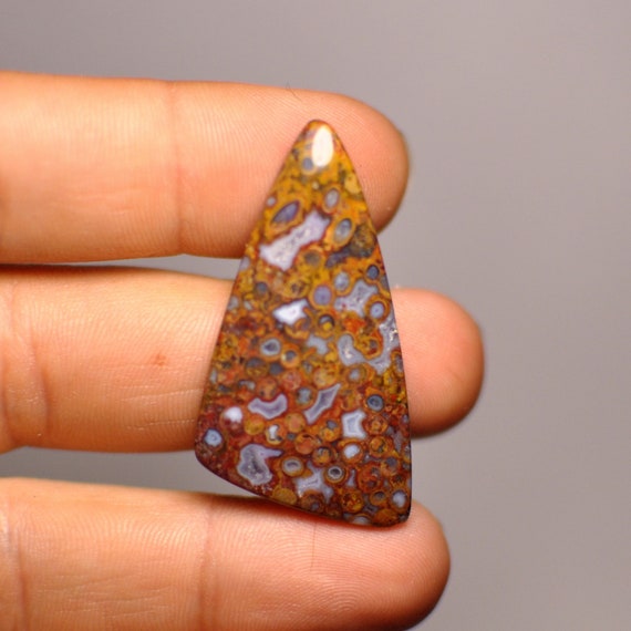 41.5x22x5 mm Palmoxylon Natural Palm Root Agate Fossil Cabochon Gemstone Freeform Triangle shape Brown Grey Color 32.15 Cts. Pendant size