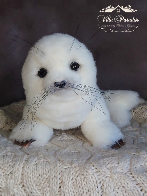 teddy seals
