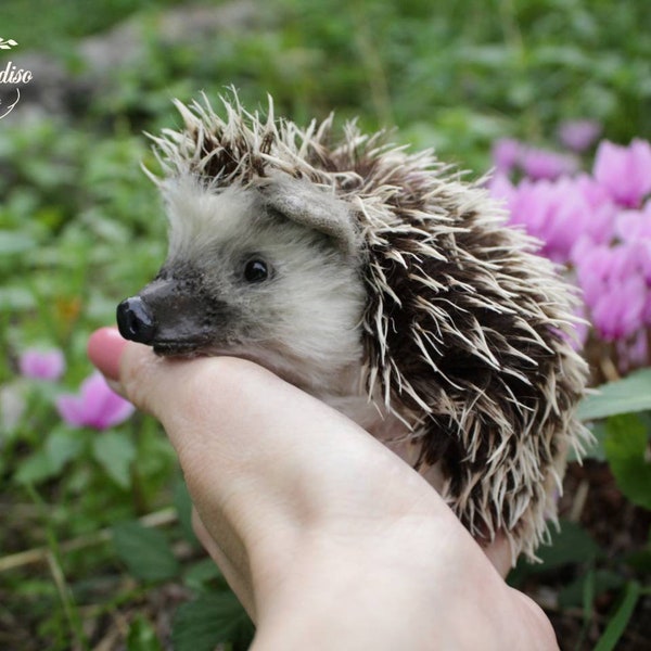 hedgehog, hedgie kawaii animals, realistic animals pet portrait, animal lover, stuffed doll, collectable toy