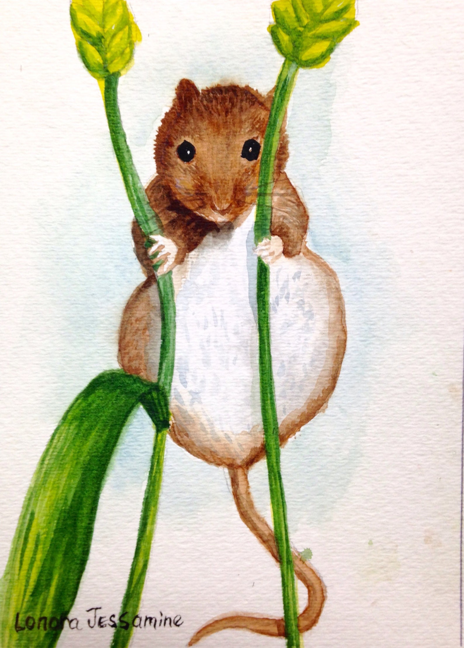 Original Field Mouse Watercolor Painting Mouse painting Wall Etsy