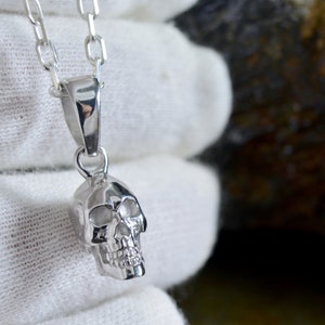May include: A silver skull pendant necklace. The skull is detailed and has a realistic look. The chain is a simple silver chain.