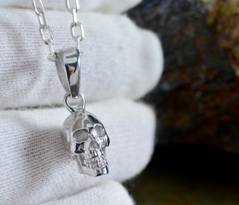 May include: A silver skull pendant necklace. The skull is detailed and has a realistic look. The chain is a simple silver chain.