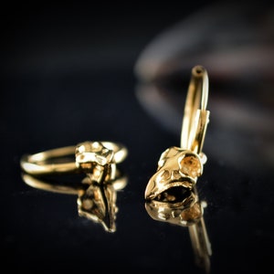 May include: A pair of gold earrings featuring a small bird skull charm. The earrings are hoop style and have a simple design.