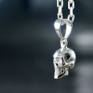 May include: A silver skull pendant necklace. The skull is detailed and has a realistic look. The chain is silver and has a simple design.