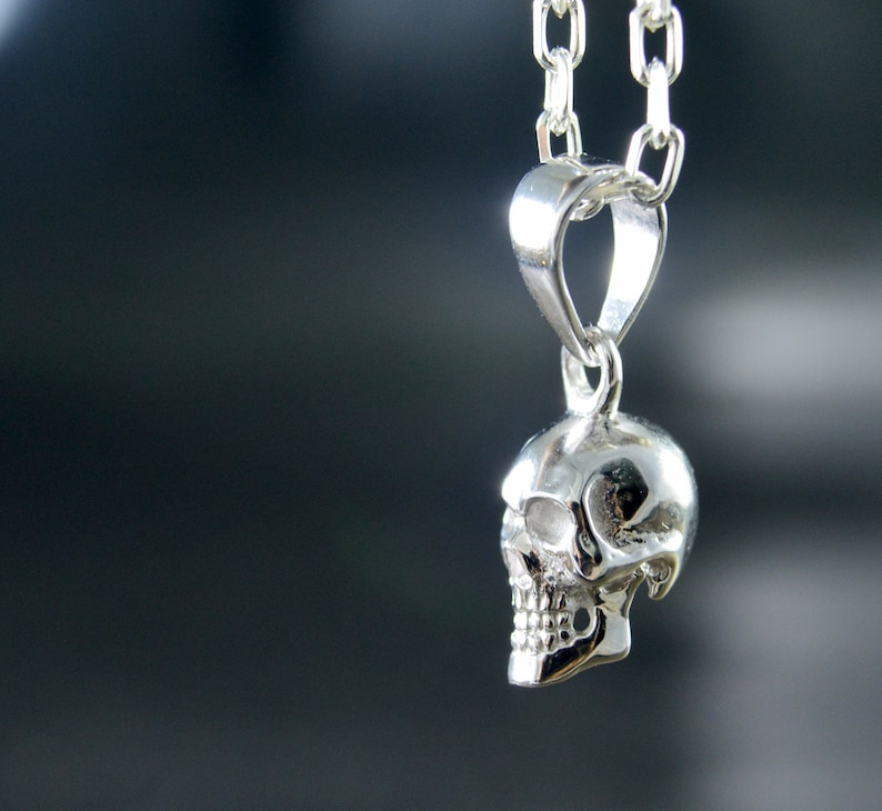 May include: A silver skull pendant necklace. The skull is detailed and has a realistic look. The chain is silver and has a simple design.