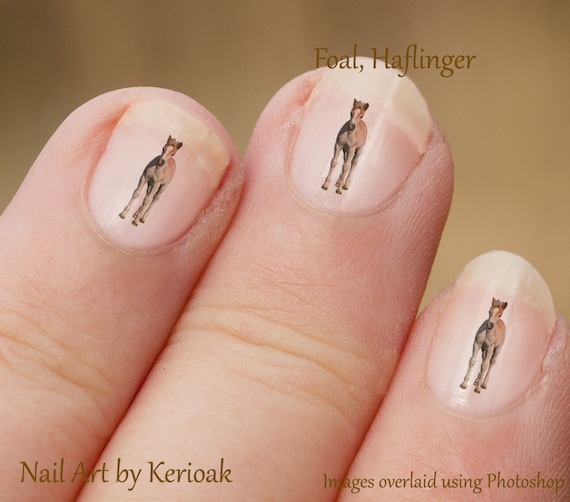 Haflinger Foal Horse Nail Art Stickers Baby Horse Fingernail Etsy image 0 - Haflinger Foal Horse Nail Art Stickers Baby Horse Fingernail Etsy