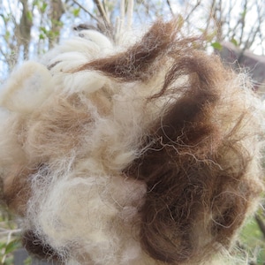 Extra Large  ALPACA and COTTON  NESTING Ball for Birds    Bird Lover&#39;s Gift    Sale!