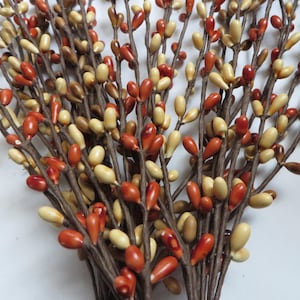 May include: A bundle of decorative berry stems. The berries are oval-shaped and come in shades of red, cream, and tan. The stems are brown and appear to be made of wood. The arrangement is dense and suitable for fall decor.